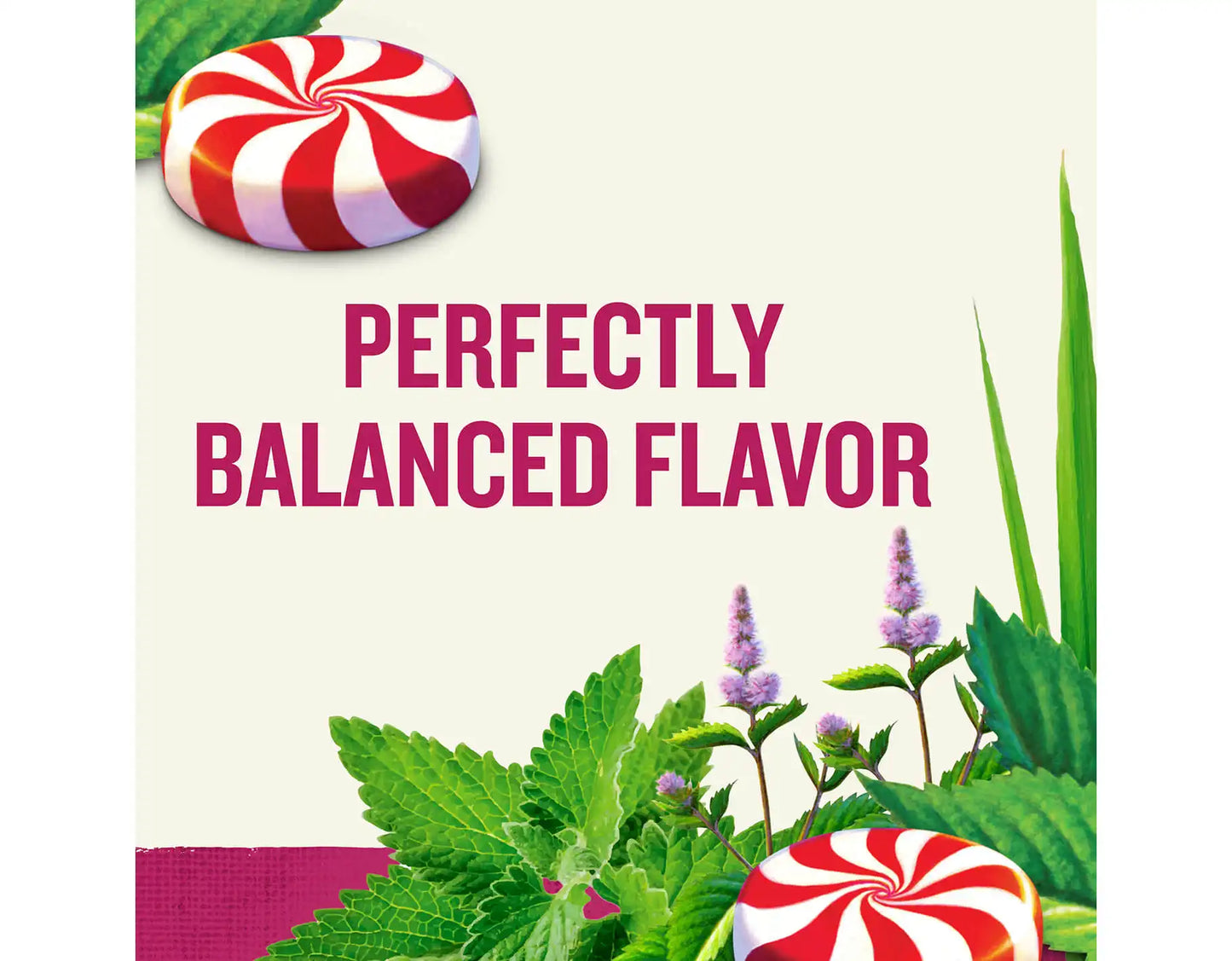 Peppermint Herbal Tea, 20 ct
