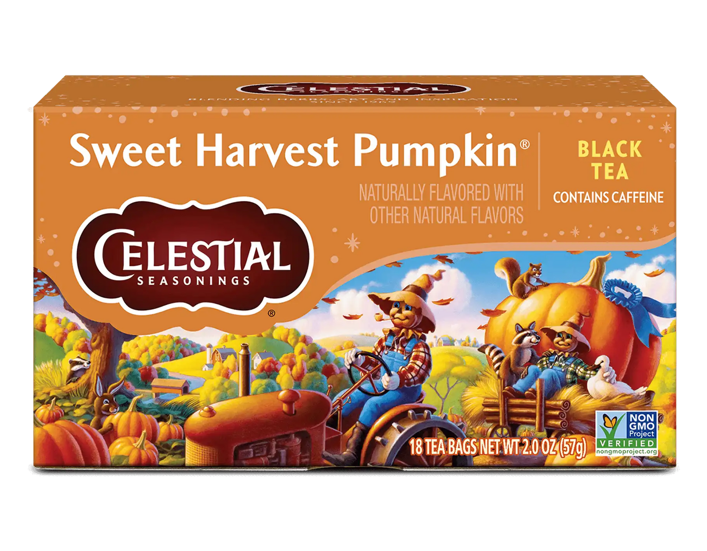Sweet Harvest Pumpkin Black Tea