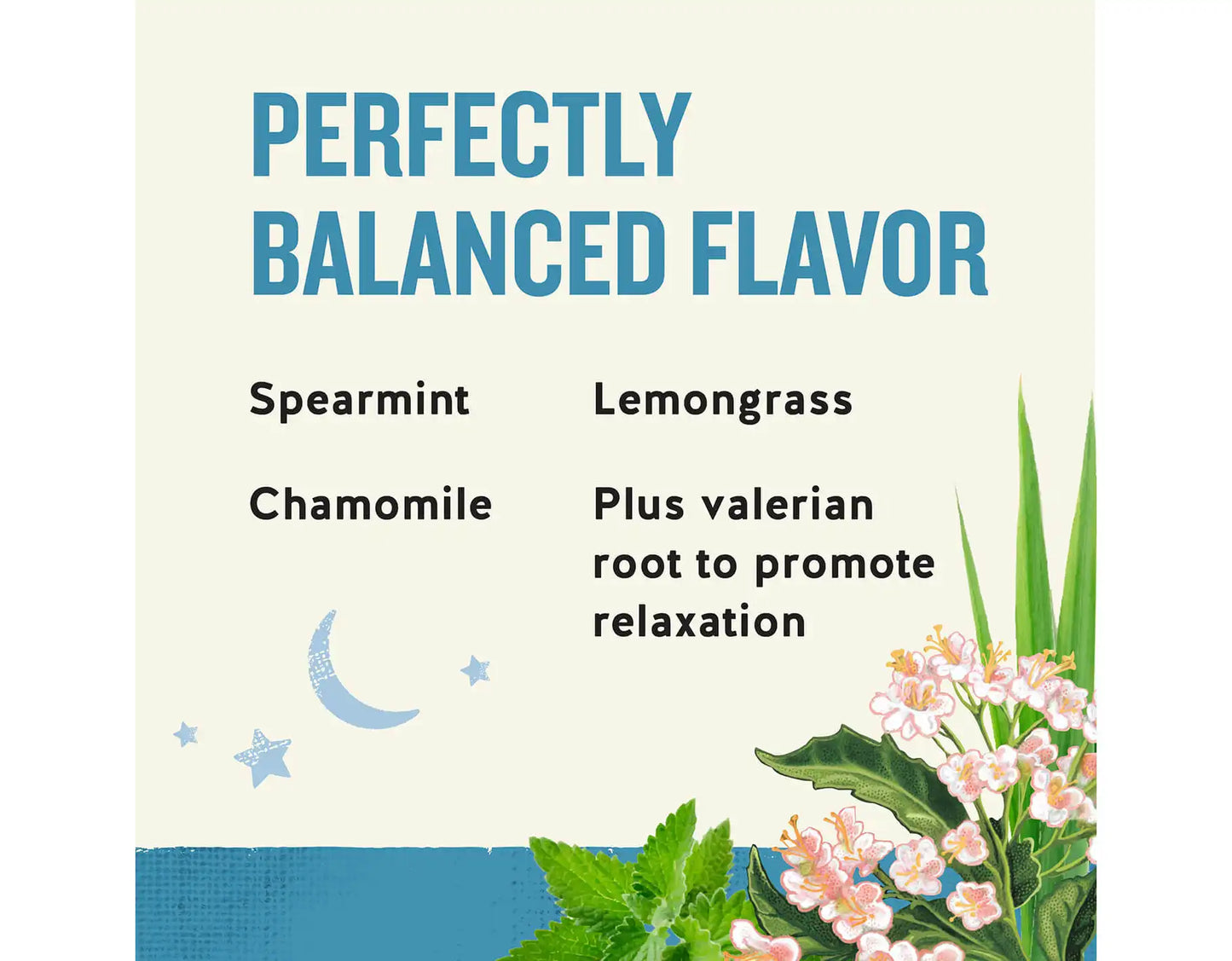 Sleepytime Extra Wellness Tea, 40 ct