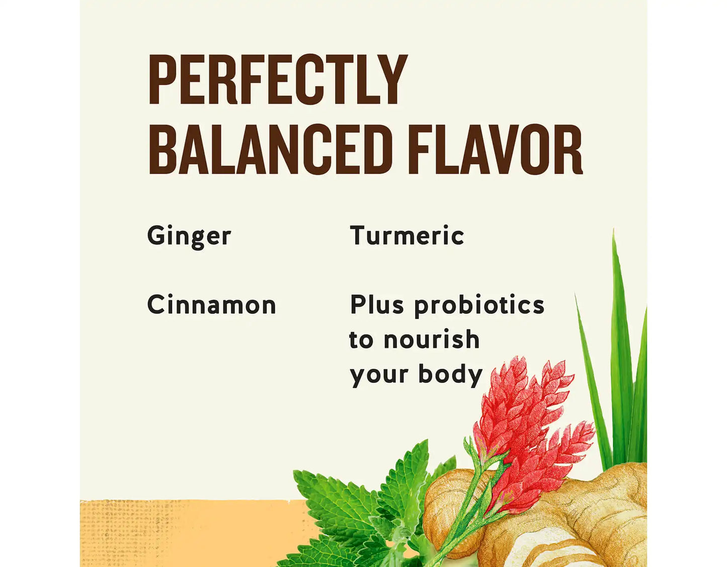 Ginger + Probiotics Herbal Tea