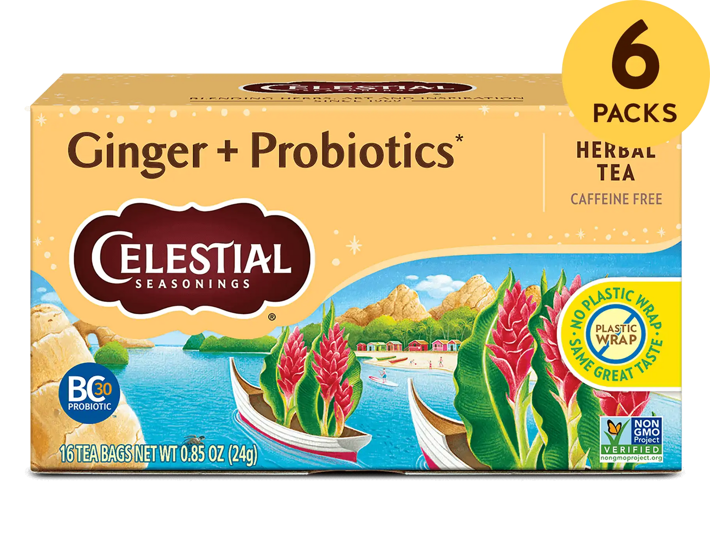 Ginger + Probiotics Herbal Tea