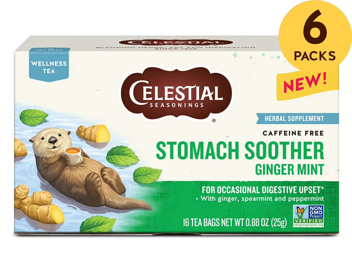 Stomach Soother Wellness Tea with Ginger and Mint