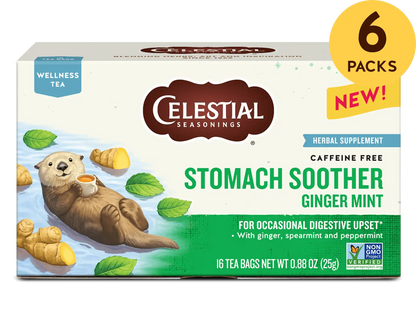 Stomach Soother Wellness Tea with Ginger and Mint
