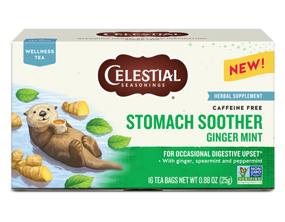 Stomach Soother Wellness Tea with Ginger and Mint